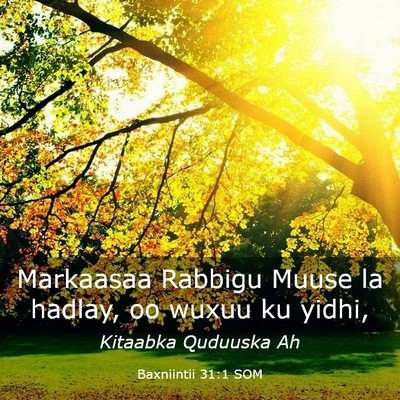 Picture 03 - Baxniintii 31:1 SOM - Markaasaa Rabbigu Muuse la hadlay, oo wuxuu ku - Bible Verse Picture