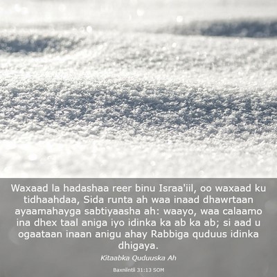Picture 03 - Baxniintii 31:13 SOM - Waxaad la hadashaa reer binu Israa'iil, oo waxaad - Bible Verse Picture