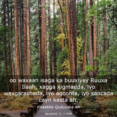 Picture 03 - Baxniintii 31:3 SOM - oo waxaan isaga ka buuxiyey Ruuxa Ilaah, xagga - Bible Verse Picture