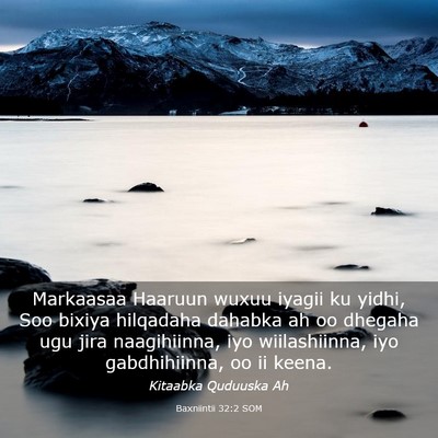 Picture 03 - Baxniintii 32:2 SOM - Markaasaa Haaruun wuxuu iyagii ku yidhi, Soo - Bible Verse Picture
