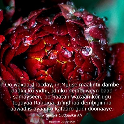 Picture 03 - Baxniintii 32:30 SOM - Oo waxaa dhacday, in Muuse maalintii dambe dadkii - Bible Verse Picture
