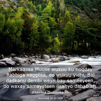 Picture 03 - Baxniintii 32:31 SOM - Markaasaa Muuse wuxuu ku noqday Rabbiga xaggiisa, - Bible Verse Picture