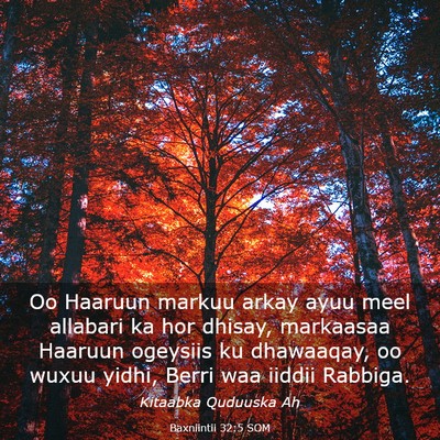 Picture 03 - Baxniintii 32:5 SOM - Oo Haaruun markuu arkay ayuu meel allabari ka hor - Bible Verse Picture
