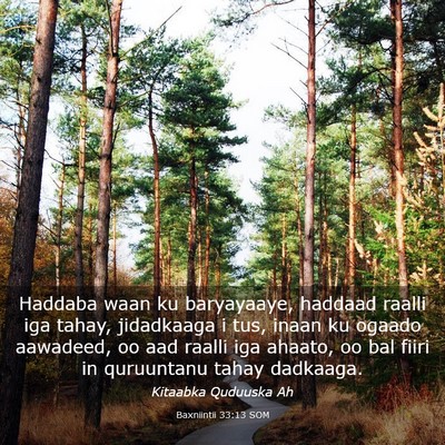Picture 03 - Baxniintii 33:13 SOM - Haddaba waan ku baryayaaye, haddaad raalli iga - Bible Verse Picture