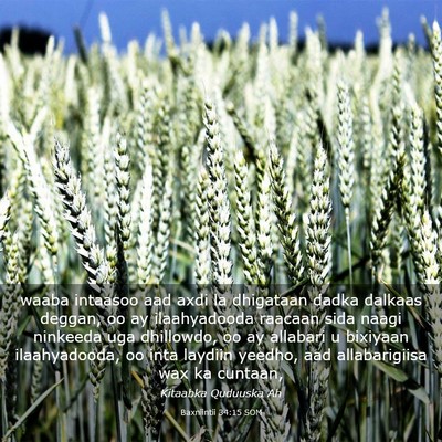 Picture 03 - Baxniintii 34:15 SOM - waaba intaasoo aad axdi la dhigataan dadka - Bible Verse Picture