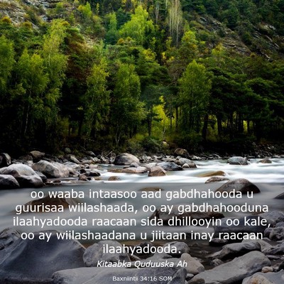 Picture 03 - Baxniintii 34:16 SOM - oo waaba intaasoo aad gabdhahooda u guurisaa - Bible Verse Picture