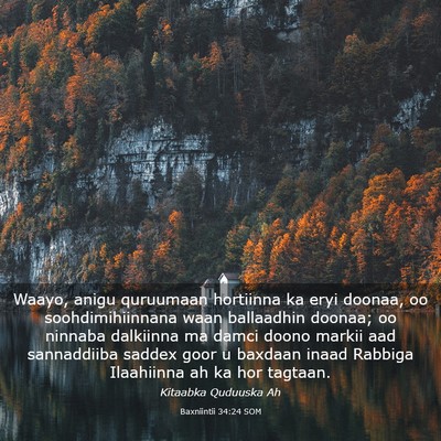 Picture 03 - Baxniintii 34:24 SOM - Waayo, anigu quruumaan hortiinna ka eryi doonaa, - Bible Verse Picture