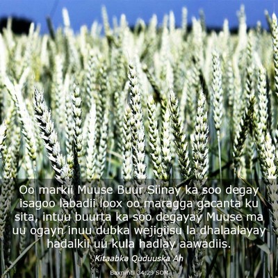 Picture 03 - Baxniintii 34:29 SOM - Oo markii Muuse Buur Siinay ka soo degay isagoo - Bible Verse Picture