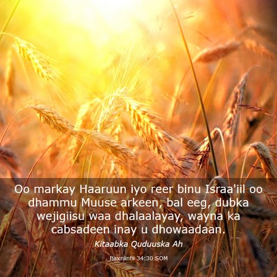 Picture 03 - Baxniintii 34:30 SOM - Oo markay Haaruun iyo reer binu Israa'iil oo - Bible Verse Picture