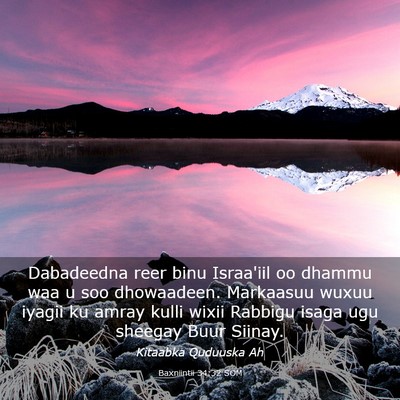 Picture 03 - Baxniintii 34:32 SOM - Dabadeedna reer binu Israa'iil oo dhammu waa u - Bible Verse Picture
