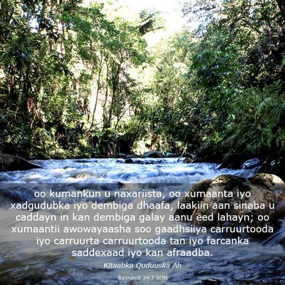 Picture 03 - Baxniintii 34:7 SOM - oo kumankun u naxariista, oo xumaanta iyo - Bible Verse Picture