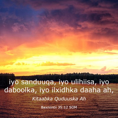 Picture 03 - Baxniintii 35:12 SOM - iyo sanduuqa, iyo ulihiisa, iyo daboolka, iyo - Bible Verse Picture