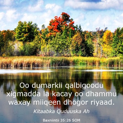 Picture 03 - Baxniintii 35:26 SOM - Oo dumarkii qalbigoodu xigmadda la kacay oo - Bible Verse Picture