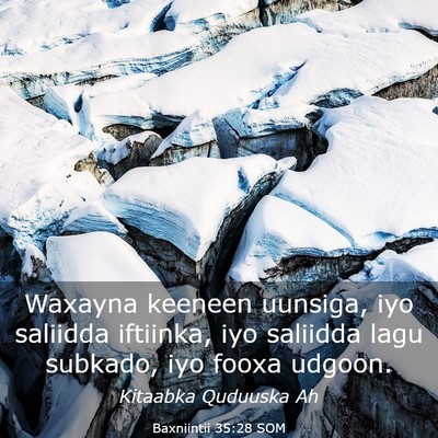 Picture 03 - Baxniintii 35:28 SOM - Waxayna keeneen uunsiga, iyo saliidda iftiinka, - Bible Verse Picture