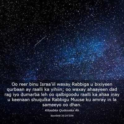 Picture 03 - Baxniintii 35:29 SOM - Oo reer binu Israa'iil waxay Rabbiga u bixiyeen - Bible Verse Picture