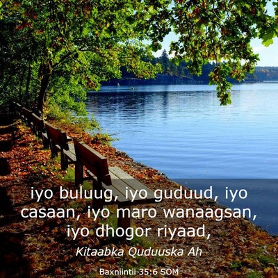 Picture 03 - Baxniintii 35:6 SOM - iyo buluug, iyo guduud, iyo casaan, iyo maro - Bible Verse Picture