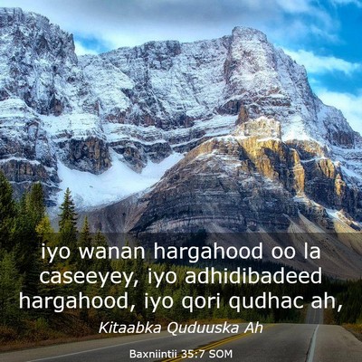 Picture 03 - Baxniintii 35:7 SOM - iyo wanan hargahood oo la caseeyey, iyo - Bible Verse Picture