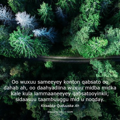 Picture 03 - Baxniintii 36:13 SOM - Oo wuxuu sameeyey konton qabsato oo dahab ah, oo - Bible Verse Picture