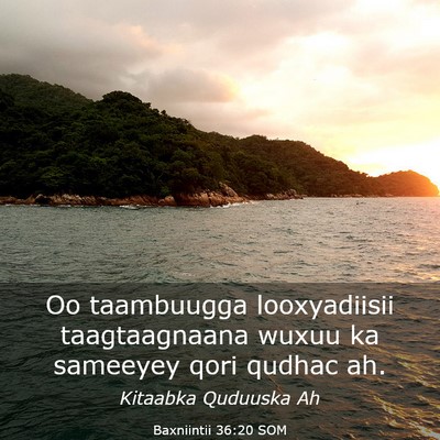 Picture 03 - Baxniintii 36:20 SOM - Oo taambuugga looxyadiisii taagtaagnaana wuxuu ka - Bible Verse Picture