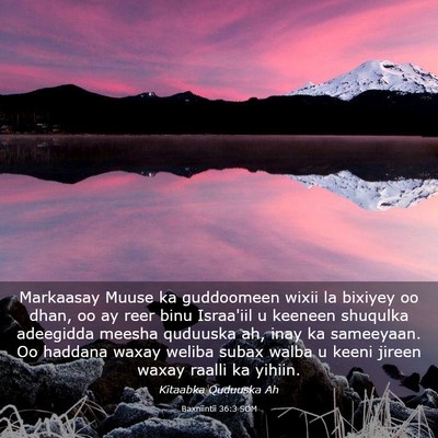 Picture 03 - Baxniintii 36:3 SOM - Markaasay Muuse ka guddoomeen wixii la bixiyey oo - Bible Verse Picture