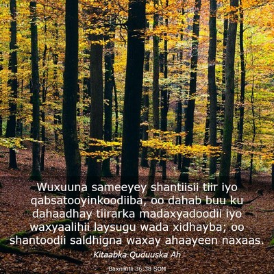 Picture 03 - Baxniintii 36:38 SOM - Wuxuuna sameeyey shantiisii tiir iyo - Bible Verse Picture