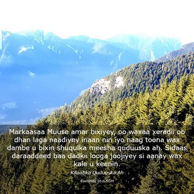 Picture 03 - Baxniintii 36:6 SOM - Markaasaa Muuse amar bixiyey, oo waxaa xeradii oo - Bible Verse Picture