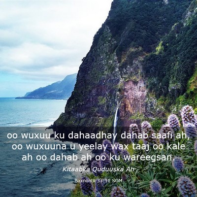 Picture 03 - Baxniintii 37:11 SOM - oo wuxuu ku dahaadhay dahab saafi ah, oo wuxuuna - Bible Verse Picture