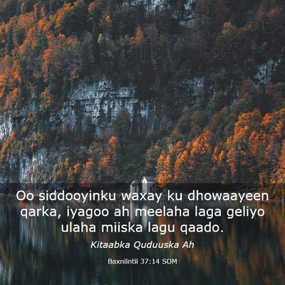 Picture 03 - Baxniintii 37:14 SOM - Oo siddooyinku waxay ku dhowaayeen qarka, iyagoo - Bible Verse Picture