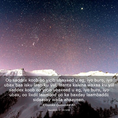 Picture 03 - Baxniintii 37:19 SOM - Oo saddex koob oo yicib ubaxeed u eg, iyo buro, - Bible Verse Picture
