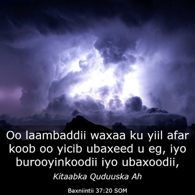 Picture 03 - Baxniintii 37:20 SOM - Oo laambaddii waxaa ku yiil afar koob oo yicib - Bible Verse Picture