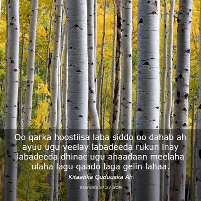 Picture 03 - Baxniintii 37:27 SOM - Oo qarka hoostiisa laba siddo oo dahab ah ayuu - Bible Verse Picture