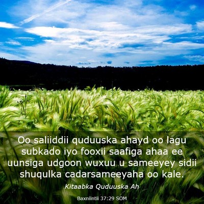 Picture 03 - Baxniintii 37:29 SOM - Oo saliiddii quduuska ahayd oo lagu subkado iyo - Bible Verse Picture