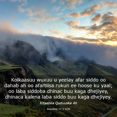 Picture 03 - Baxniintii 37:3 SOM - Kolkaasuu wuxuu u yeelay afar siddo oo dahab ah - Bible Verse Picture