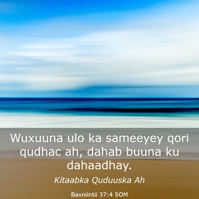 Picture 03 - Baxniintii 37:4 SOM - Wuxuuna ulo ka sameeyey qori qudhac ah, dahab - Bible Verse Picture