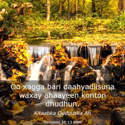 Picture 03 - Baxniintii 38:13 SOM - Oo xagga bari daahyadiisuna waxay ahaayeen konton - Bible Verse Picture