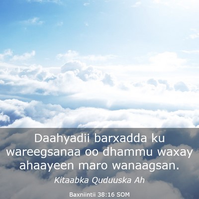 Picture 03 - Baxniintii 38:16 SOM - Daahyadii barxadda ku wareegsanaa oo dhammu waxay - Bible Verse Picture