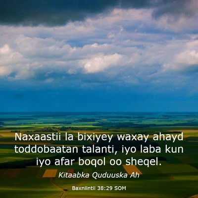 Picture 03 - Baxniintii 38:29 SOM - Naxaastii la bixiyey waxay ahayd toddobaatan - Bible Verse Picture