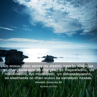 Picture 03 - Baxniintii 38:3 SOM - Oo wuxuu kaloo sameeyey alaabtii meesha - Bible Verse Picture