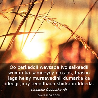 Picture 03 - Baxniintii 38:8 SOM - Oo berkeddii weysada iyo salkeedii wuxuu ka - Bible Verse Picture