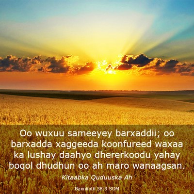 Picture 03 - Baxniintii 38:9 SOM - Oo wuxuu sameeyey barxaddii; oo barxadda xaggeeda - Bible Verse Picture