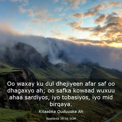 Picture 03 - Baxniintii 39:10 SOM - Oo waxay ku dul dhejiyeen afar saf oo dhagaxyo - Bible Verse Picture