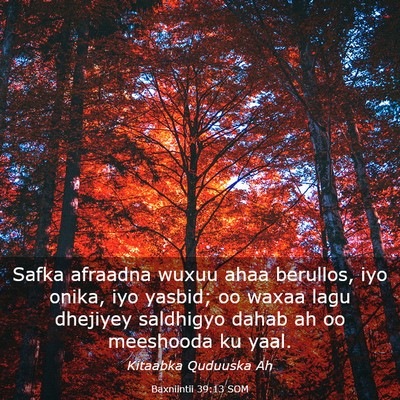 Picture 03 - Baxniintii 39:13 SOM - Safka afraadna wuxuu ahaa berullos, iyo onika, - Bible Verse Picture