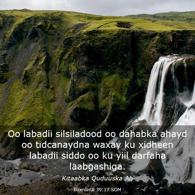 Picture 03 - Baxniintii 39:17 SOM - Oo labadii silsiladood oo dahabka ahayd oo - Bible Verse Picture