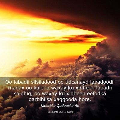 Picture 03 - Baxniintii 39:18 SOM - Oo labadii silsiladood oo tidcanayd labadoodii - Bible Verse Picture
