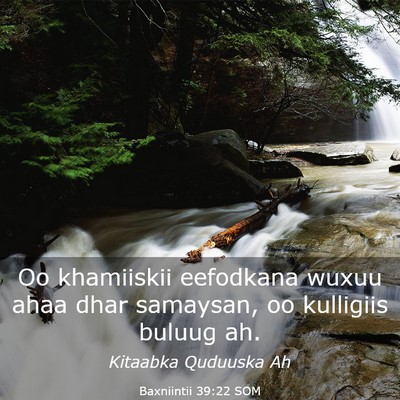 Picture 03 - Baxniintii 39:22 SOM - Oo khamiiskii eefodkana wuxuu ahaa dhar samaysan, - Bible Verse Picture