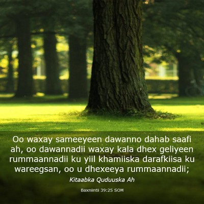 Picture 03 - Baxniintii 39:25 SOM - Oo waxay sameeyeen dawanno dahab saafi ah, oo - Bible Verse Picture