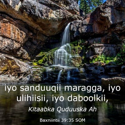 Picture 03 - Baxniintii 39:35 SOM - iyo sanduuqii maragga, iyo ulihiisii, iyo - Bible Verse Picture