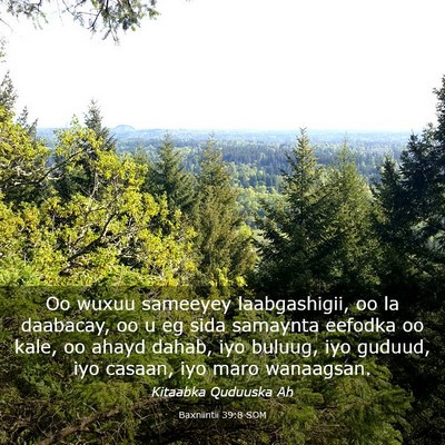 Picture 03 - Baxniintii 39:8 SOM - Oo wuxuu sameeyey laabgashigii, oo la daabacay, - Bible Verse Picture