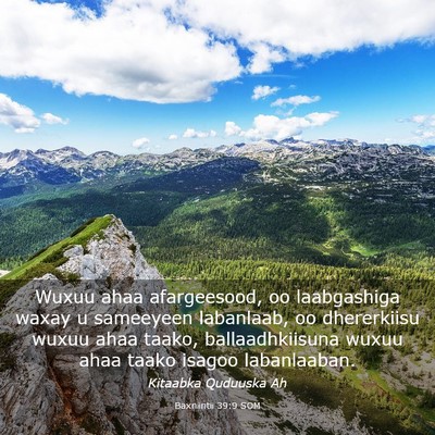 Picture 03 - Baxniintii 39:9 SOM - Wuxuu ahaa afargeesood, oo laabgashiga waxay u - Bible Verse Picture