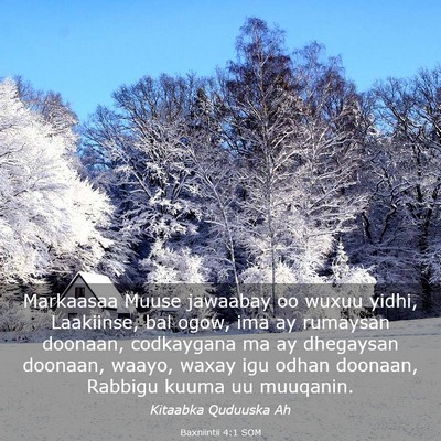 Picture 03 - Baxniintii 4:1 SOM - Markaasaa Muuse jawaabay oo wuxuu yidhi, - Bible Verse Picture